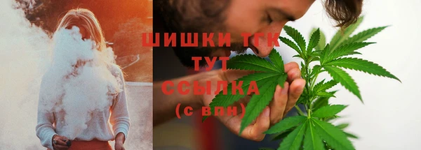 бошки Елабуга