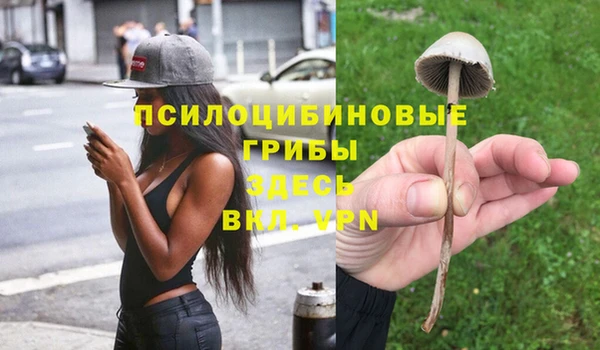 героин Заводоуковск