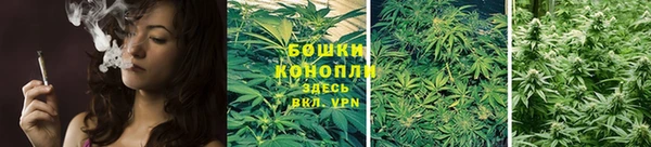 бошки Елабуга